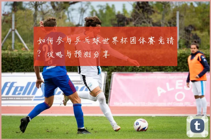 如何参与乒乓球世界杯团体赛竞猜？攻略与预测分享