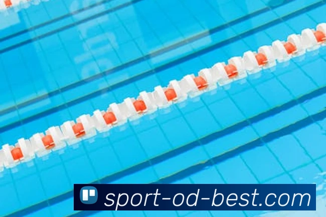 OD体育官方网站sportodplay.com品牌故事