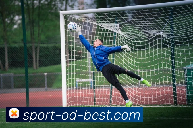 App 示例图